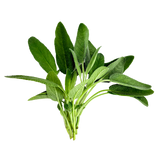 Herb Bundle