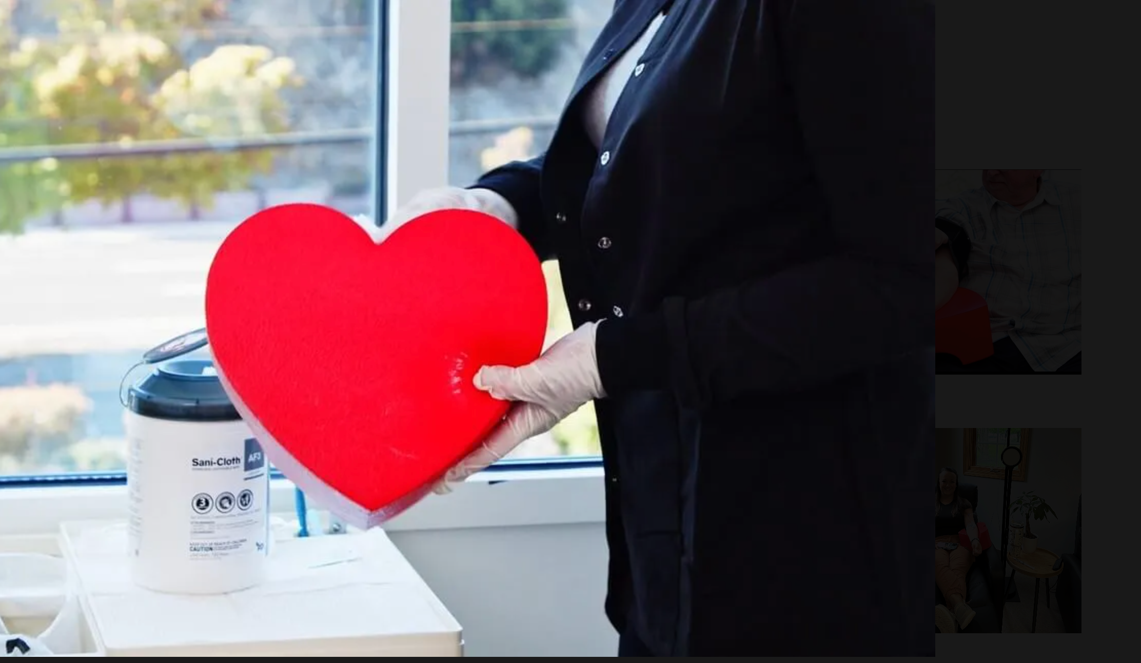 Spongies Comfort – The Heart – Comfort Infusion Pillow