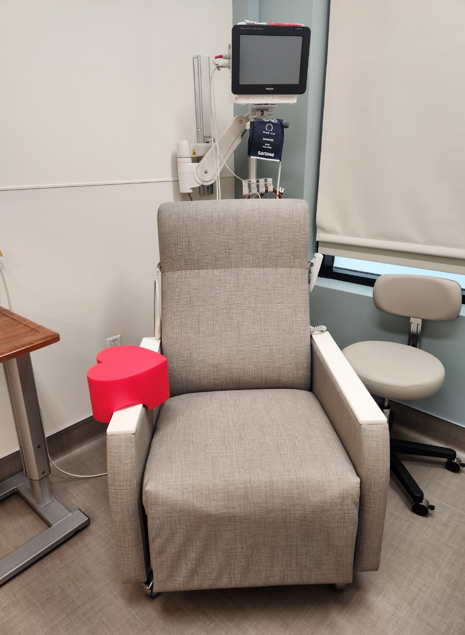 Spongies Comfort – The Heart – Comfort Infusion Pillow