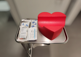 Spongies Comfort – The Heart – Comfort Infusion Pillow