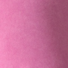 Classic Jogger - Acid Peony