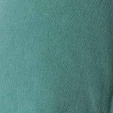 Barrel Sweatpant - Acid Emerald