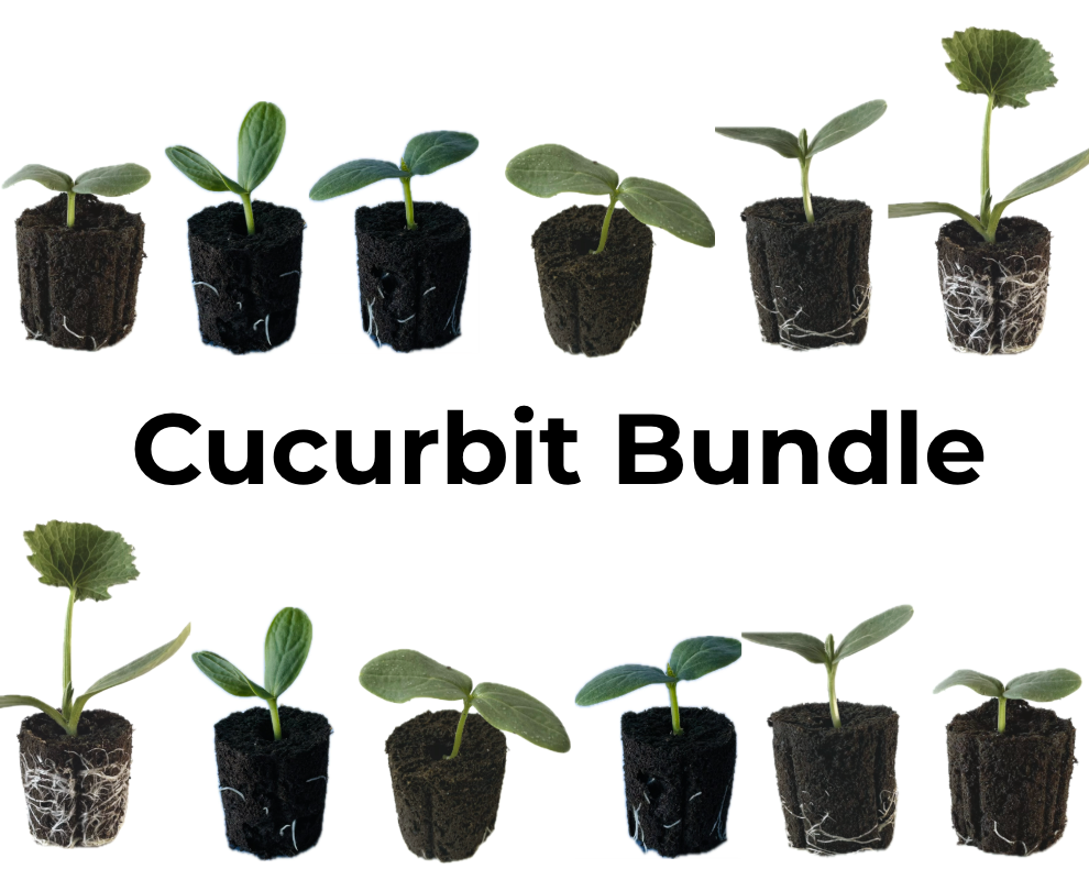 Cucurbit Bundle