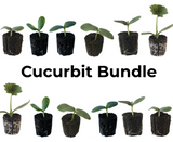 Cucurbit Bundle
