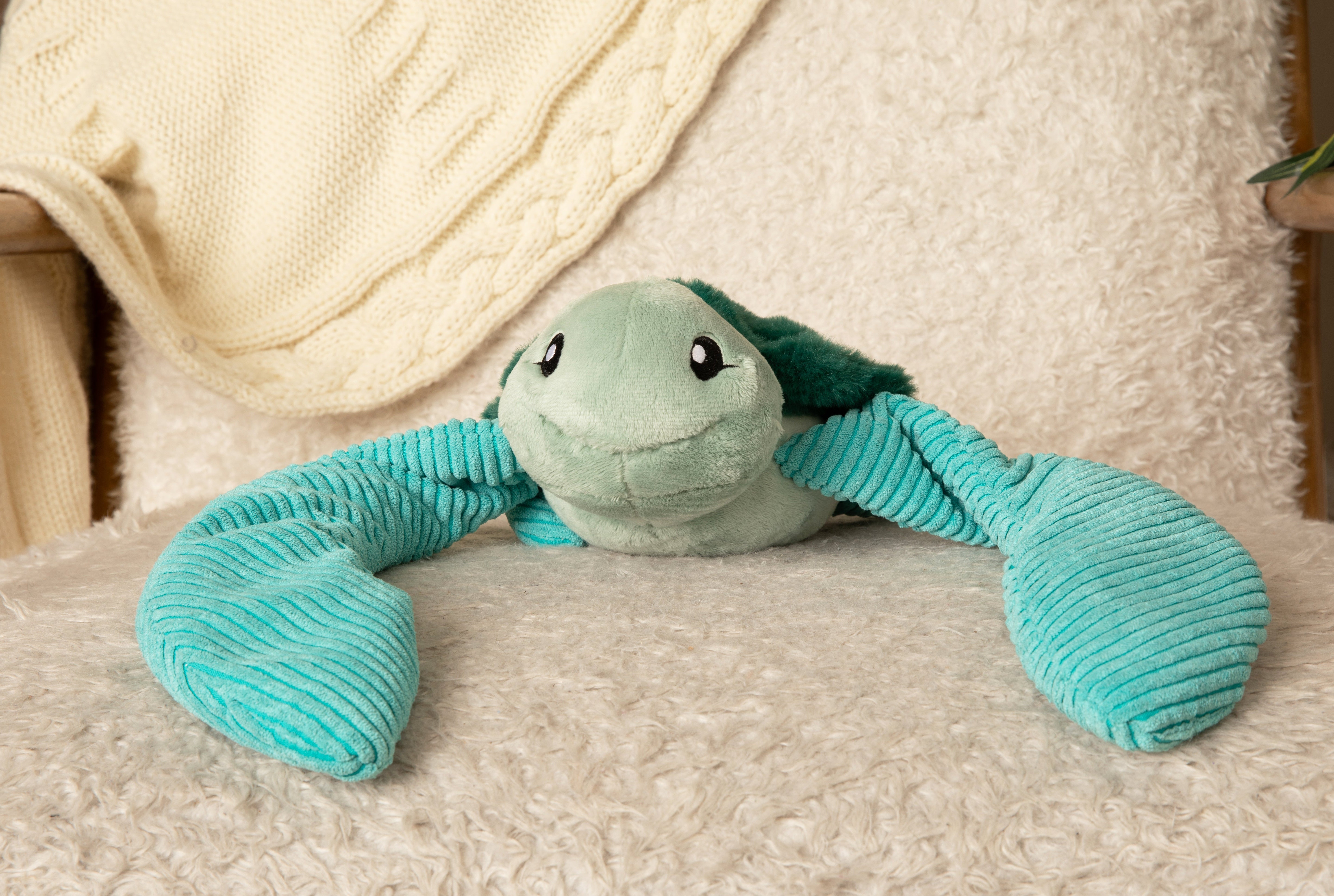 Sidney the Sea Turtle