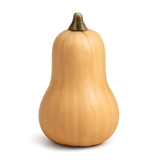 Cucurbit Bundle