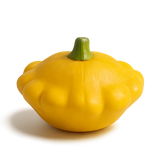 Cucurbit Bundle