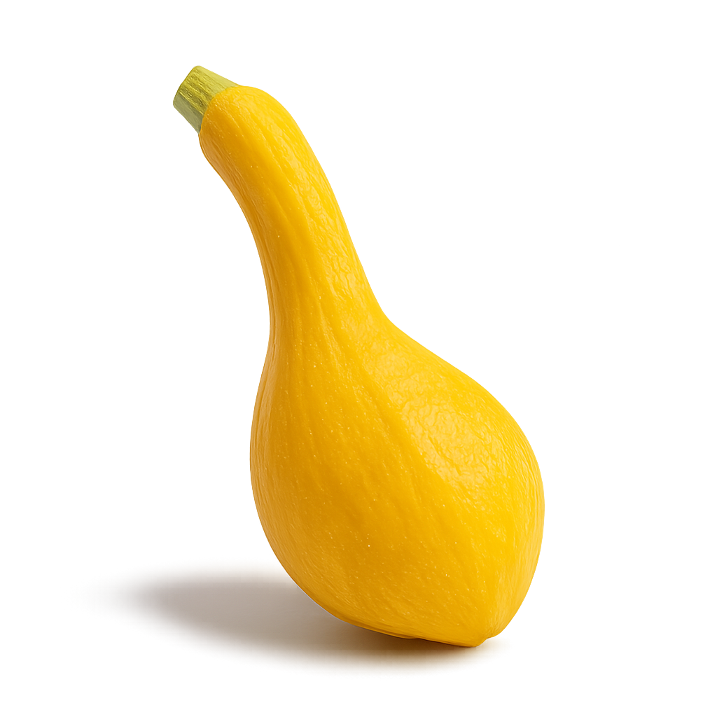 Cucurbit Bundle