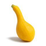Cucurbit Bundle