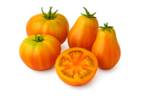 Nightshade Bundle