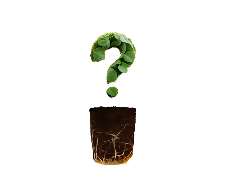 Mystery Bundle