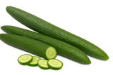 Cucurbit Bundle
