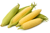 Veggie Bundle