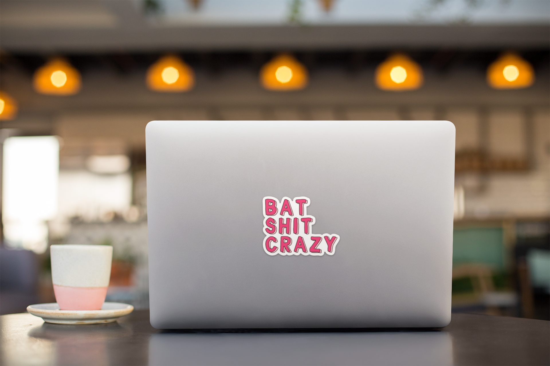 Bat Shit Crazy Funny Laptop Waterbottle Vinyl Sticker