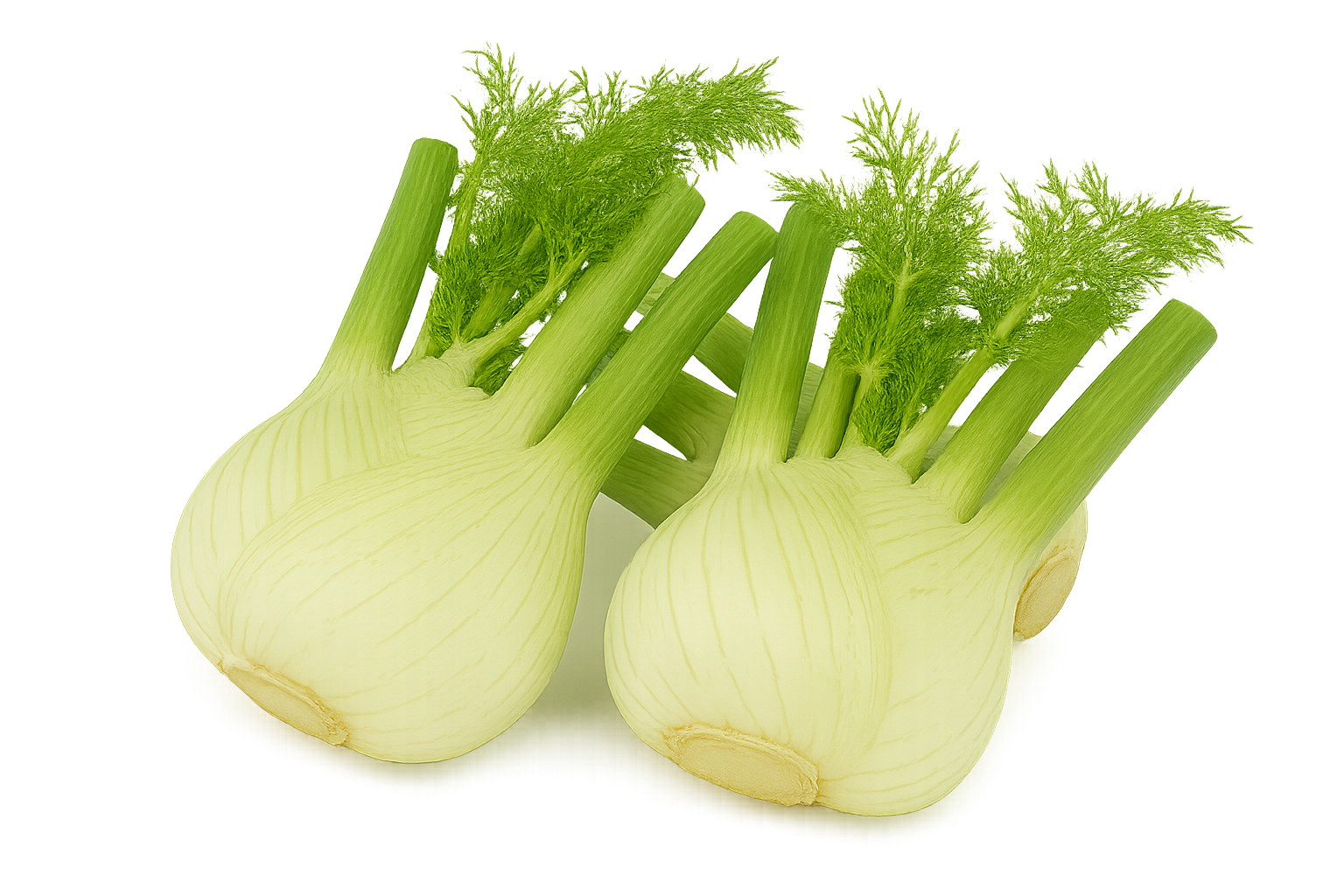 Herb Bundle