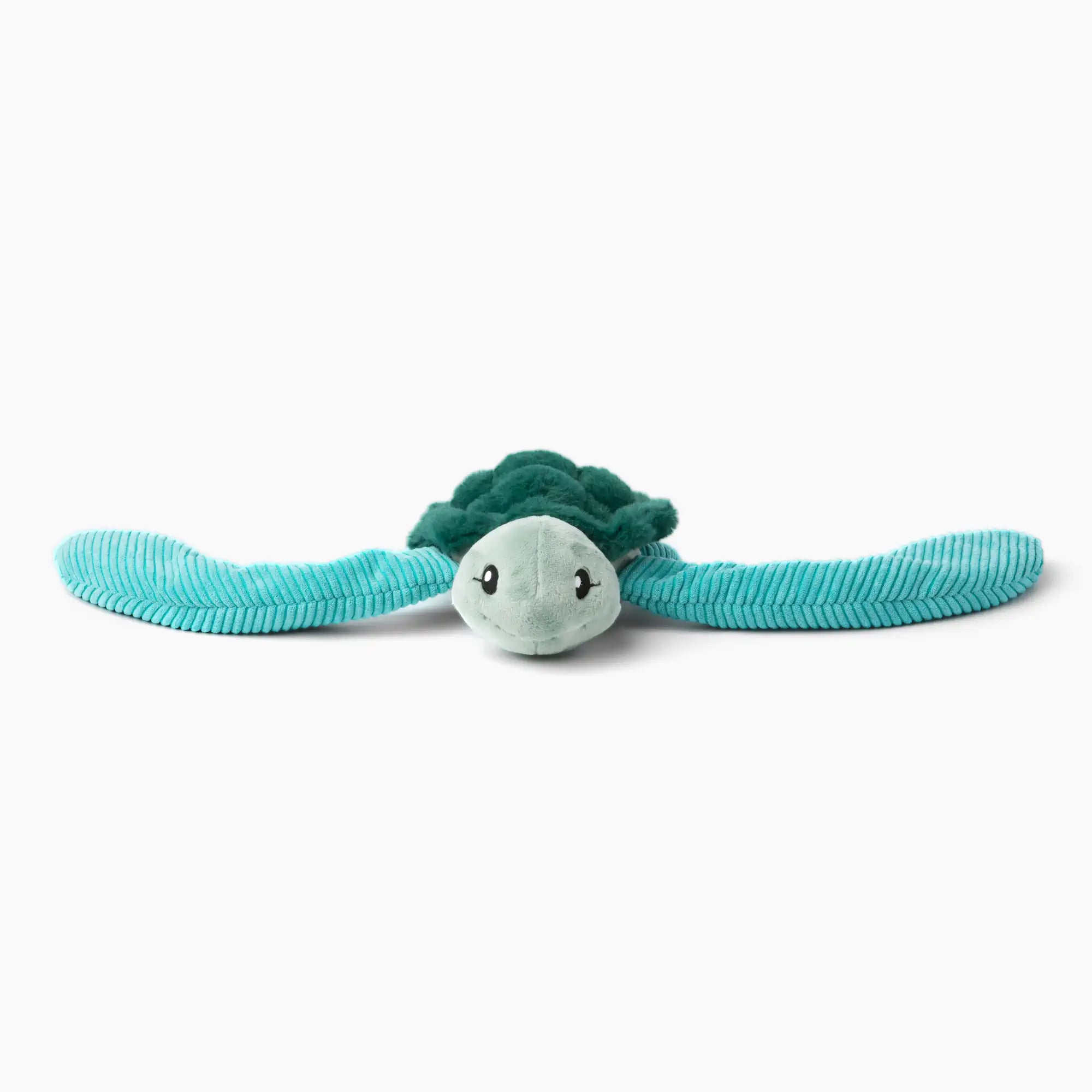 Sidney the Sea Turtle