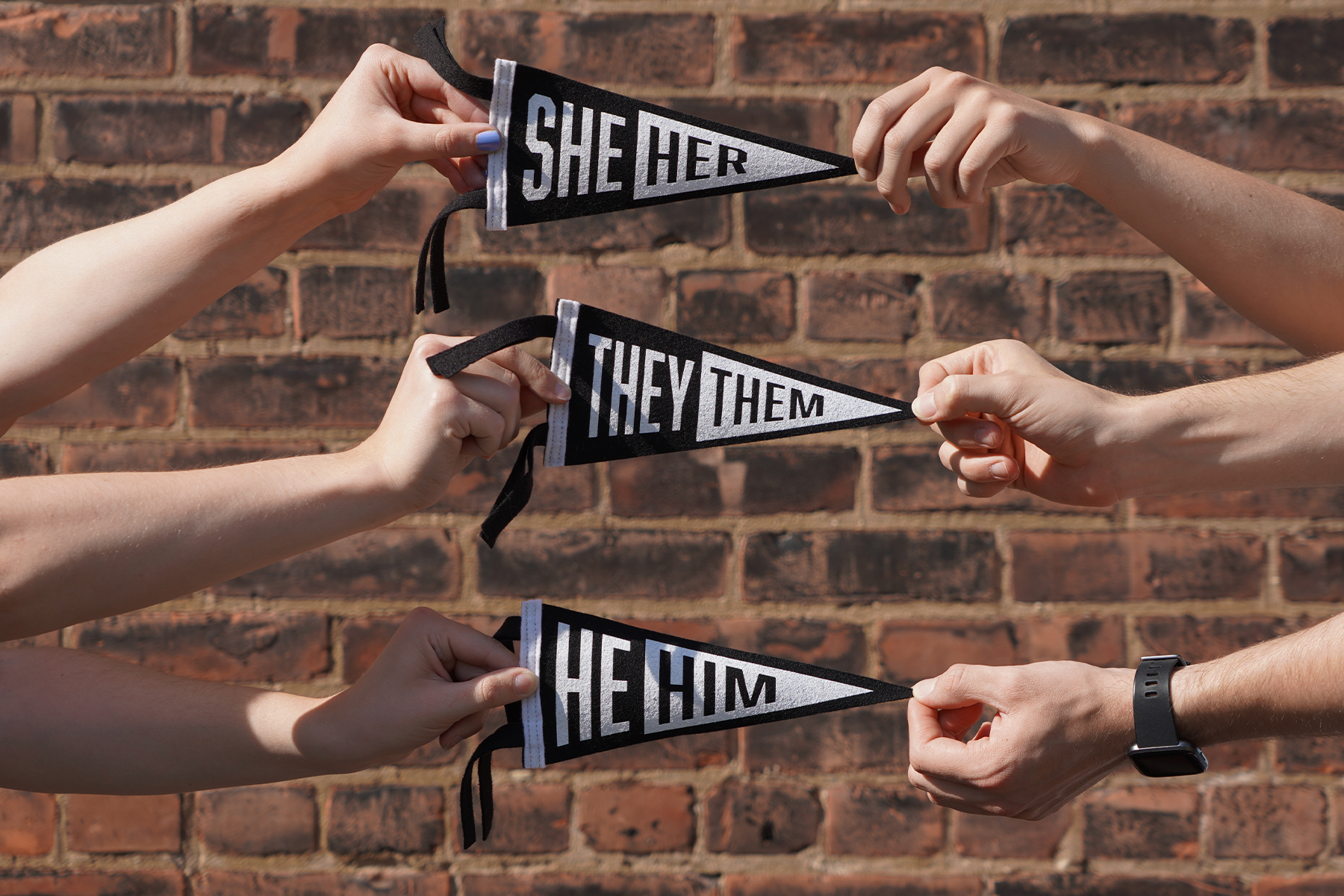 He/Him Mini Pennant