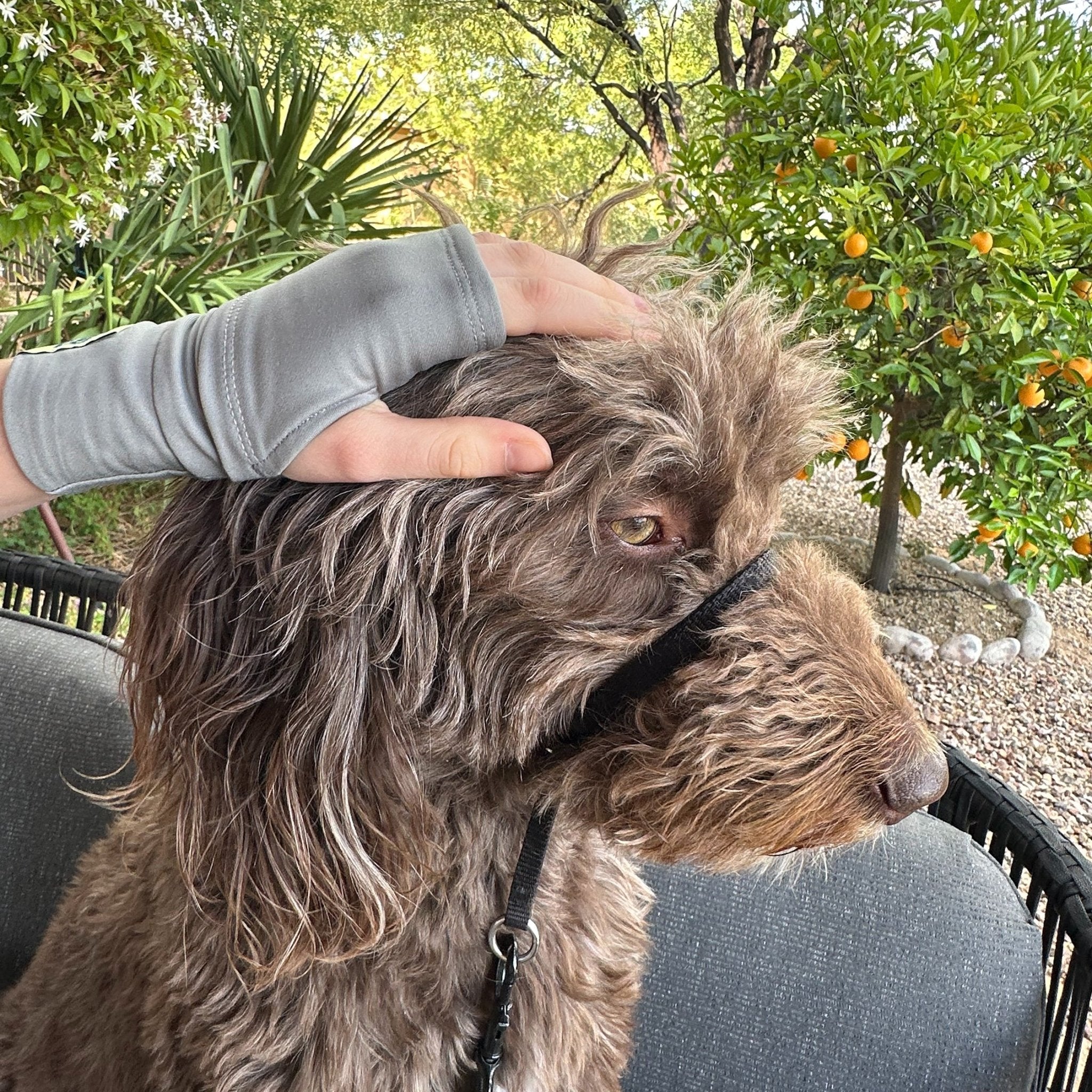 SMOKE SHOW FLIPMITS HL